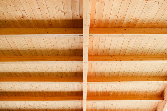 Wooden ceiling interior with noble materials