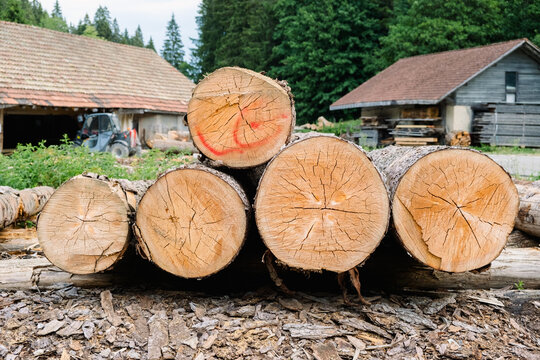 Cut logs at a mountain sawmill