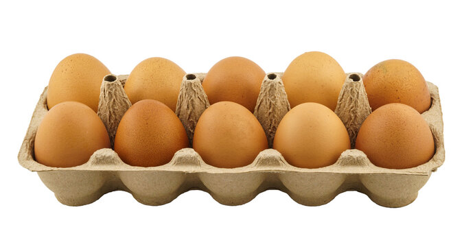 Dozen brown eggs sit in cardboard carton on white background