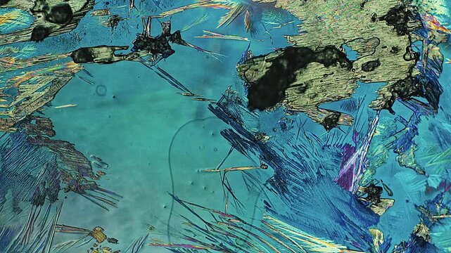 Real-time Oscillatory Crystallization and Front Recrystallization Dynamics under 5x Polarized Microscope, Crystal Lattice Degradation to Secondary Heterogeneous Nucleation and Rapid Needle Growth