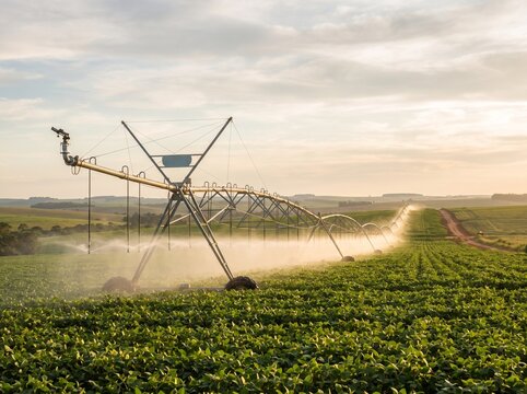 Center pivot irrigation system watering a lush green soybean field during a scenic sunset in the countryside