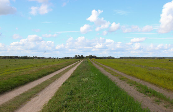 Two parallel dirt tracks running through a green grass field stretching towards a distant line of trees under a blue sky with white clouds