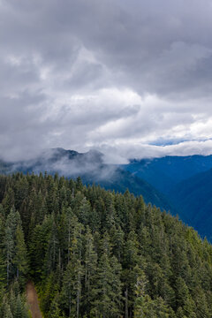 Misty Evergreen Forest and Blue Mountain Ridges Under Heavy Clouds Near Chilliwack, BC, Canada