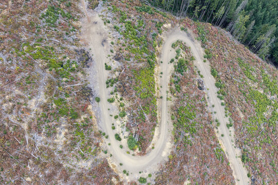 Aerial View Of Clearcut Forest And Winding Logging Road Near Chilliwack, BC, Canada