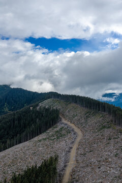 Clearcut Mountain Trail Under Dramatic Clouds and Blue Sky Near Chilliwack, BC, Canada