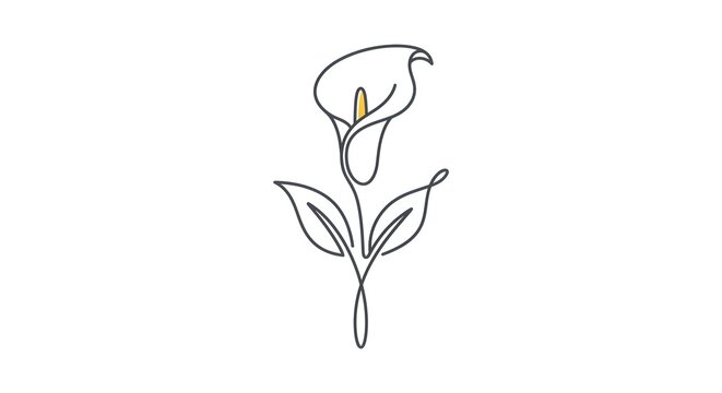 Minimalist line drawing of a single calla lily flower with stem and leaves in white vector style