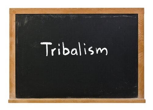 Tribalism written in white chalk on a black chalkboard isolated in a wooden frame on white