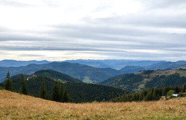 Fototapeta premium Panoramic mountain landscape showing rolling forested hills, a golden meadow in the foreground and layers of distant blue ridges beneath a dramatic overcast sky, evoking calm and solitude. Carpathians