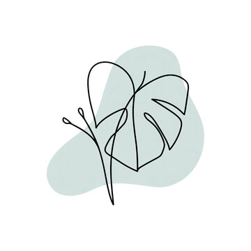 Minimal hand-drawn monstera leaf illustration with smooth line art for branding and editorial use