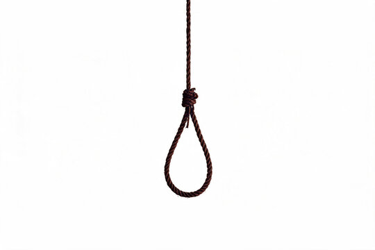 A dark brown rope forms a noose with a knot against a stark white background, symbolizing despair and danger
