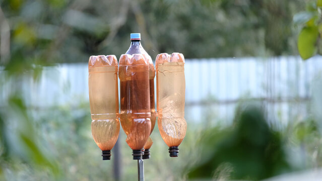 DIY garden rotating deterrent using plastic bottles as anemometer for moles and birds, showcasing three connected frames of the device in a garden setting