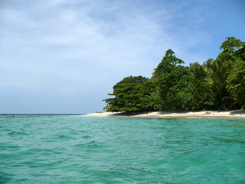 Lush tropical forest meeting turquoise ocean water at Cayo Zapatilla island, Bocas del Toro, Panama, Caribbean landscape concept