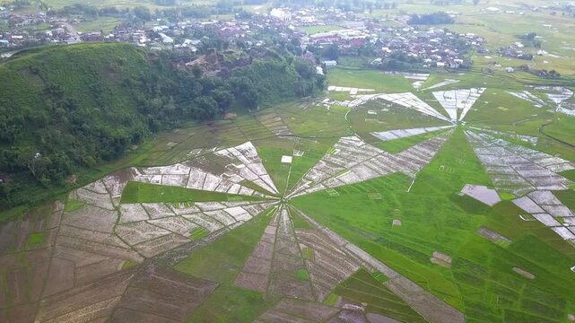 Slow drone pan over lush green lingko spider web agriculture fields in Flores
