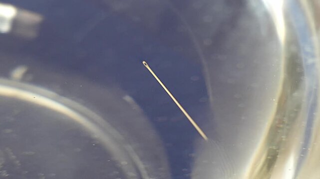 Metal sewing needle floating in water in a glass container.