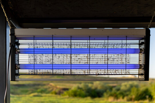 Electric ultraviolet mosquito zapper with glowing UV lamps and protective metal grid hanging outdoors on porch against green field, representing pest control and bug eradication.