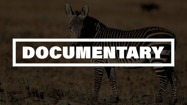 Documentary Text Animation