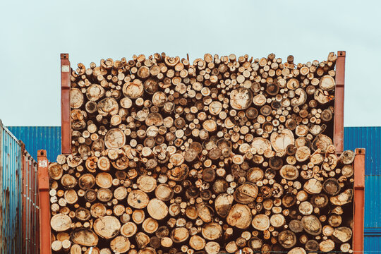 Large stack of freshly cut timber logs packed in an industrial metal rack, revealing varied circular ends, growth rings and rough natural wood texture beneath clear sky