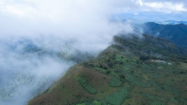 Aerial view of dense forest shrouded in morning mist, with fog weaving through trees and rolling hills. Vibrant green foliage contrasts with soft white clouds
