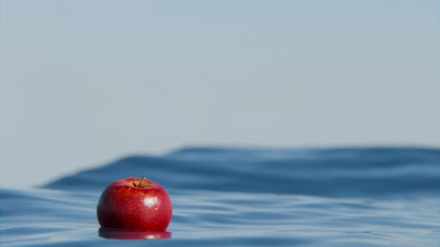 3d apple bobbing on an open sea, apple floating on the top of the ocean surface