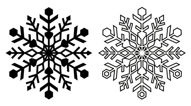 Detailed snowflake vector illustrations