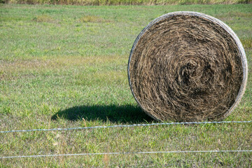 Large haybale roll in green field with barbwire in foreground © Mark