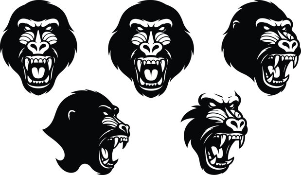Aggressive wild baboon heads vector illustration set featuring fierce roaring facial expressions