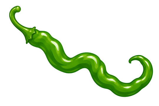 green chili pepper