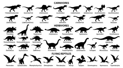 Collection of Dinosaur Silhouettes Isolated © adil