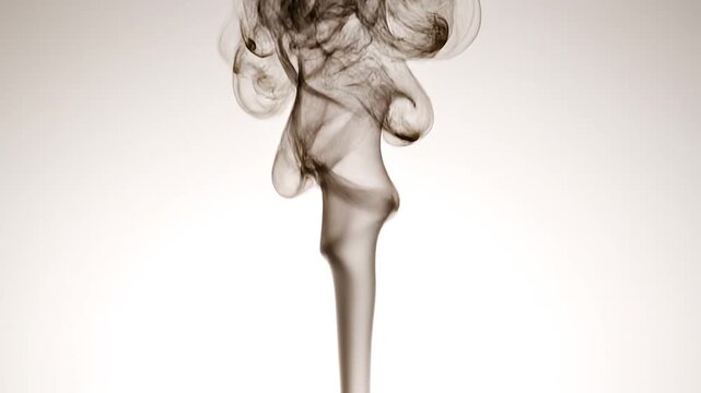 Swirling wisps of abstract dark smoke rising gracefully against a clean light background