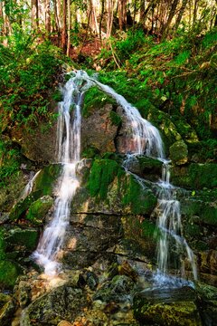 長野県の阿寺渓谷の滝