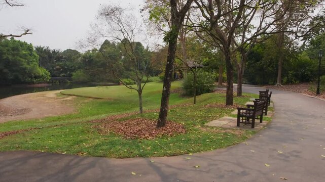 Paved trails winding through mature trees, fallen leaves, and a traditional rest pavilion within the UNESCO World Heritage-listed Singapore Botanic Gardens, Singapore
