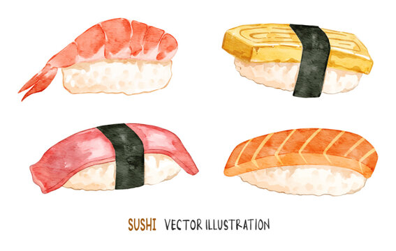 Ebi sushi, tamago sushi, unagi sushi, salmon sake sushi. Watercolor Japanese vector food collection.
