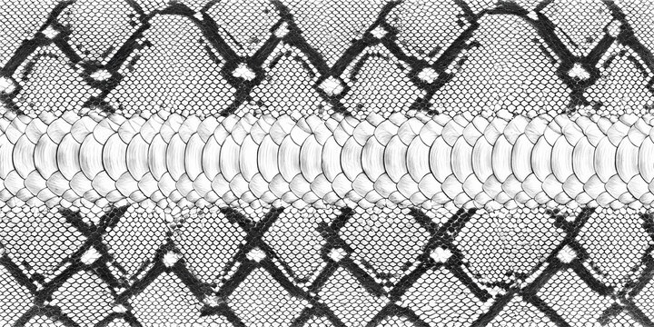 Detailed python snake skin texture and scales pattern. Hand-drawn monochrome graphite illustration for luxury textile and surface design. Pencil sketch art packaging wrapper.