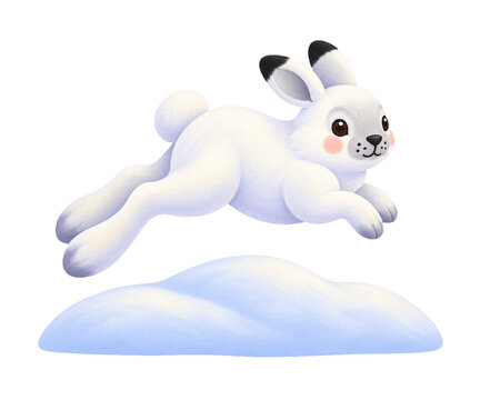 Chunky mountain hare leaping over a snow mound clipart