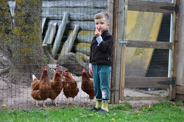 Young child standing beside a chicken coop with brown hens in a rural farmyard. Authentic countryside lifestyle scene with poultry, wooden enclosure, green grass and natural outdoor setting. © Karolina