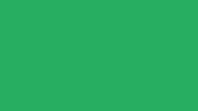 Graduation cap and diploma scroll motion graphics video on a green background loop.