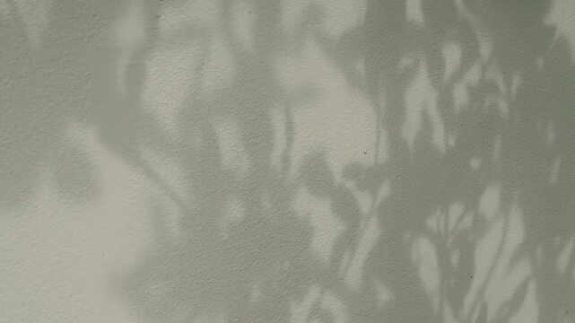 Beige shadow leaf brown background wall floor gradient peach color backdrop, minimal podium stage loft for presentation product, empty mockup stand interior