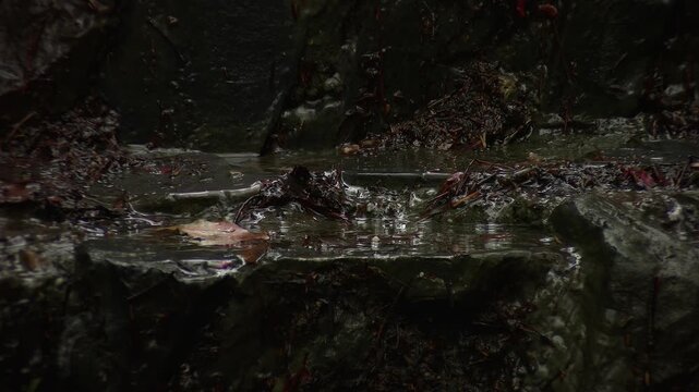 Macro close up of clear water flowing over wet rocks