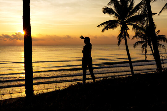 Sunrise with silhouette woman and coconut