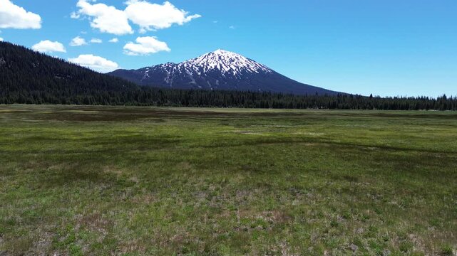 Flight over meadow to Mt Bachelor - Oregon