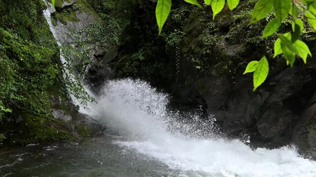 Mossy Forest Stream with Clear Flowing Water in Nature