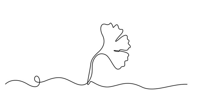 ginkgo leaf continuous one line drawing animation, motion, Ginkgo biloba Continuous one line drawing. Abstract botany minimalist poster.