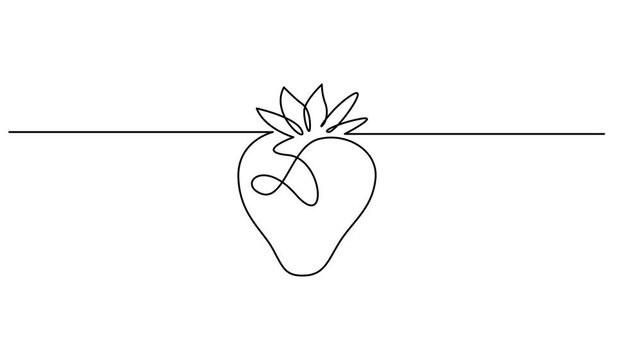 Strawberry, one line drawing animation. Video clip with alpha channel, Strawberry, one line drawing animation. Video clip with alpha channel, Self drawing line animation organic strawberries fruit.