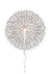 Fototapeta premium Spherical dandelion sparkler explosion on transparent background