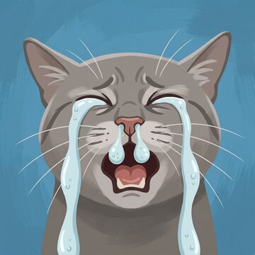 Dramatic cartoon-style gray cat crying with large tears and an exaggerated emotional expression against a dark blue background.