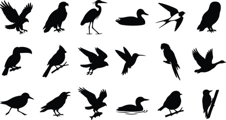 Fototapeta premium Set of diverse wild bird silhouettes including eagle, owl, parrot, and hummingbird in black vector icon style