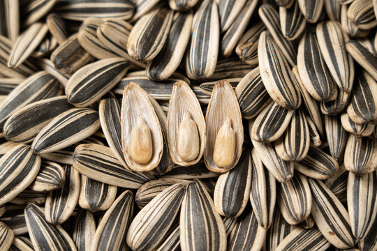 Sunflower seeds with opened shells showing kernels close up