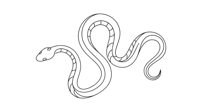 Snakeskin Spiral Organic Movement Line Art Design, Slithering serpent outline illustration, Black and white reptile drawing for coloring book, slithering, outline, minimalist, drawing, illustration.