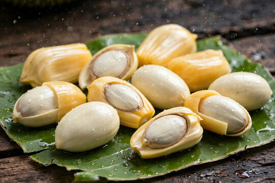 aw Fresh Jackfruit Seeds on Green Banana Leaf for Traditional Indonesian Lalap