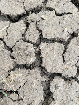 Close-up, abstract view of dry, cracked earth showcasing patterns and textures of arid soil, symbolizing drought and natural formations